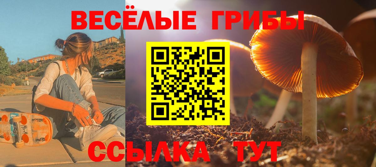 Сухой Лог  Псилоцибиновые грибы MAGIC MUSHROOMS  Вход с VPN 